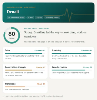 A sample report card: an overall score of 80, with separate grades for calm, breathing, follow-through, rhythm and transitions.