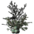 Juniper Berries