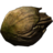 Nordic Barnacle