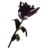 Purple Mountain Flower